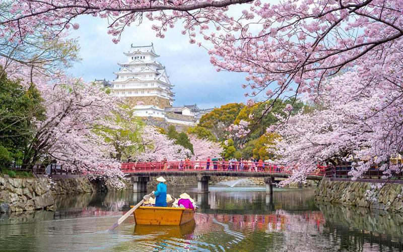 日本移民投資好嗎？深入分析日本投資移民的優(yōu)勢與挑戰(zhàn)